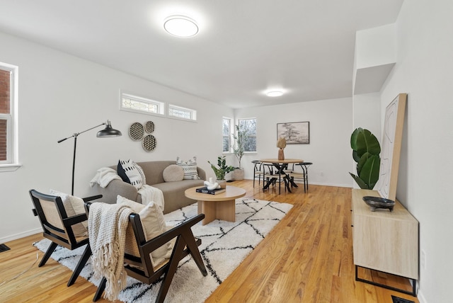 living room with wood-type flooring