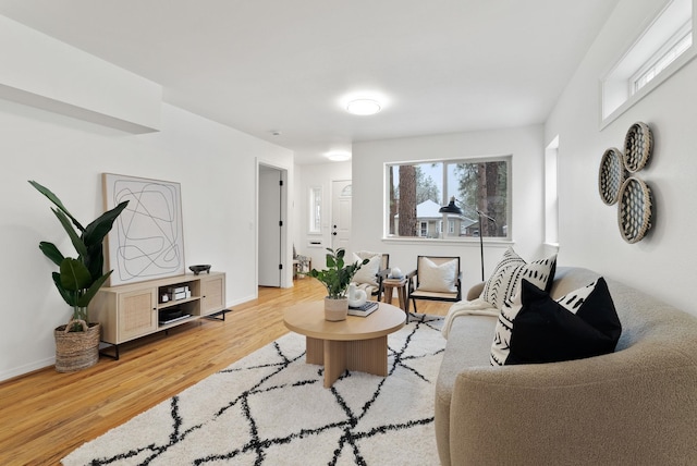 living room with hardwood / wood-style floors