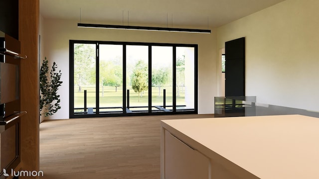 interior space with a wealth of natural light and light hardwood / wood-style flooring