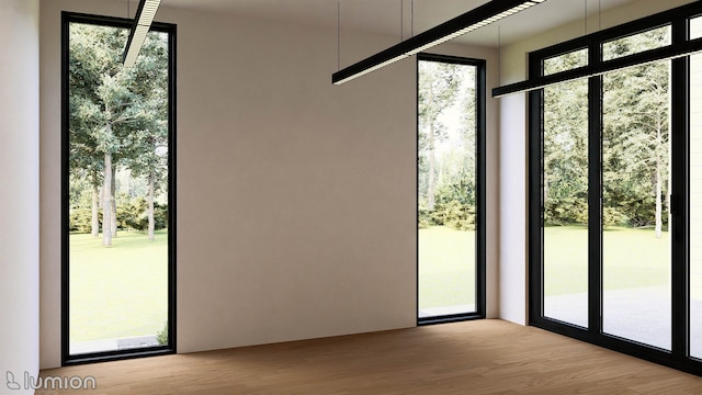 doorway with a healthy amount of sunlight and light hardwood / wood-style flooring