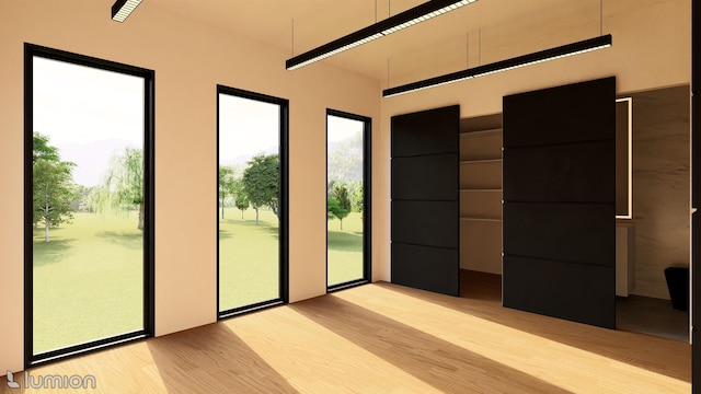 entryway featuring light wood-type flooring