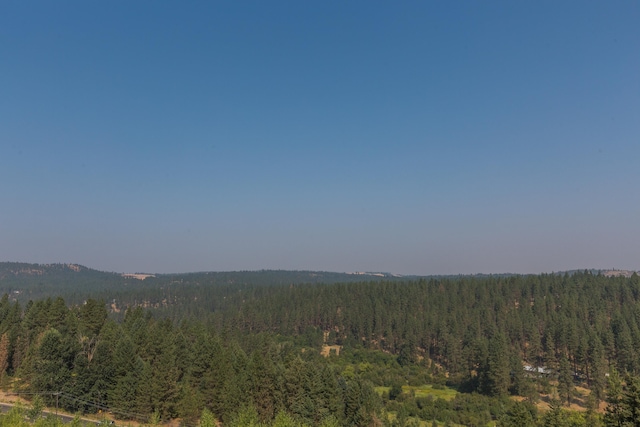 view of mountain feature featuring a view of trees