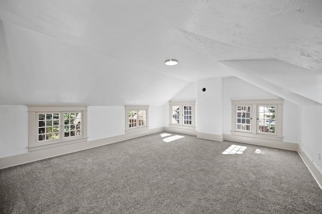 additional living space featuring a textured ceiling, carpet, and lofted ceiling