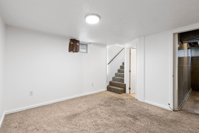 basement with carpet floors