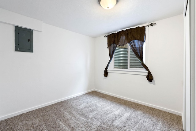 carpeted spare room featuring electric panel