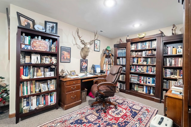 view of carpeted office space