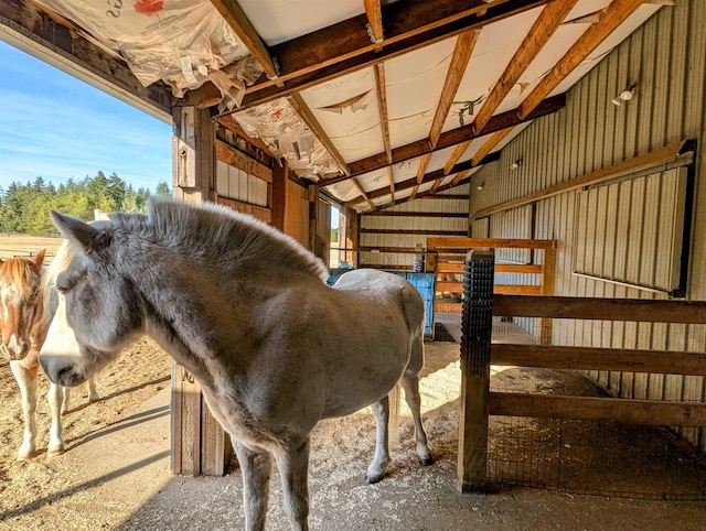 view of horse barn