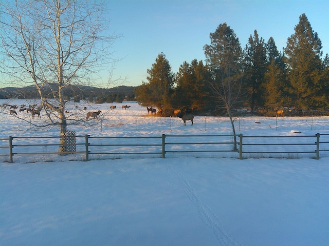 yard layered in snow with a rural view