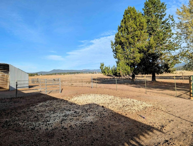 view of yard featuring a rural view