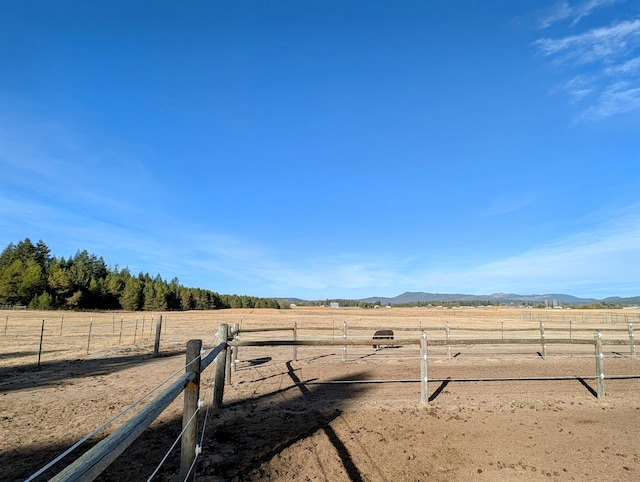 view of yard featuring a mountain view and a rural view