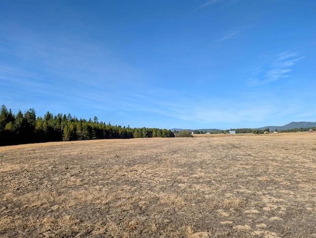 view of yard with a rural view