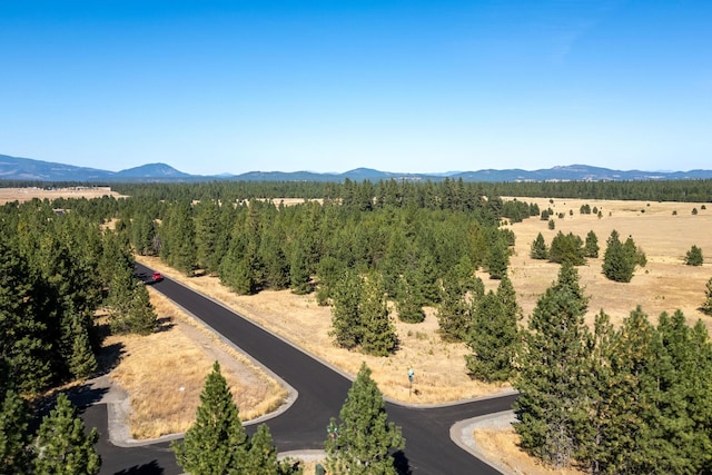 Listing photo 3 for NKA W Findley Ln Lot 3, Deer Park WA 99006