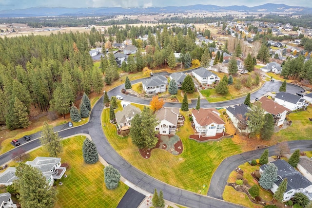 bird's eye view featuring a mountain view