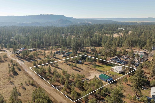 aerial view with a mountain view and a view of trees