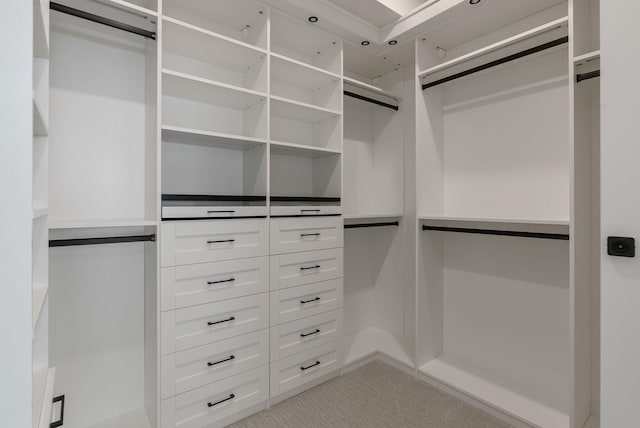 view of spacious closet