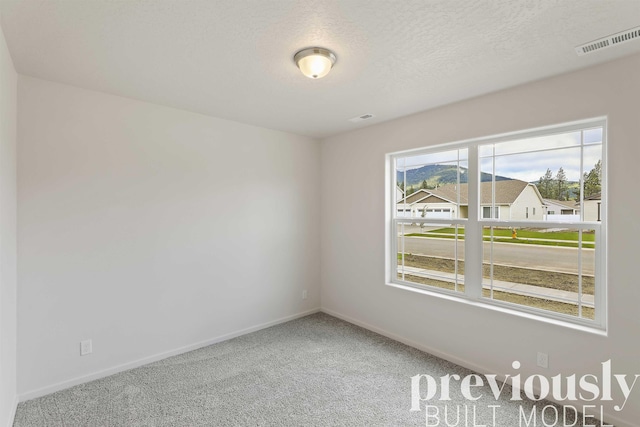 carpeted spare room featuring a textured ceiling