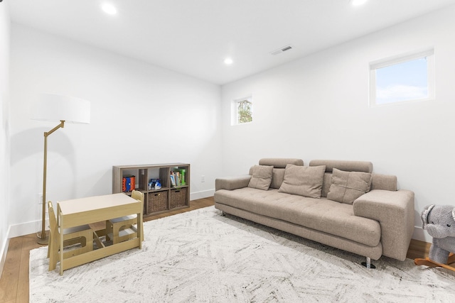 living room featuring hardwood / wood-style floors