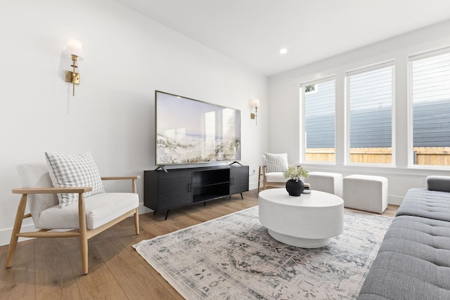 living room with hardwood / wood-style floors