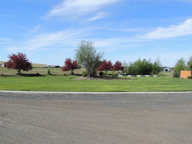 38250 Fitness Ln E, Davenport, WA 99122 - photo 3