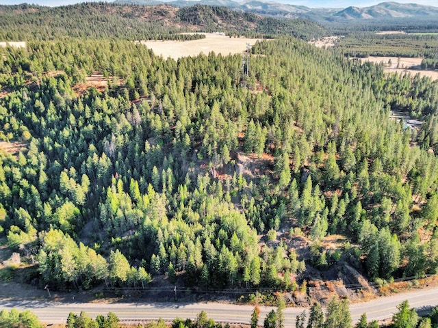 45XX 292nd Hwy, Springdale WA, 99173 land for sale