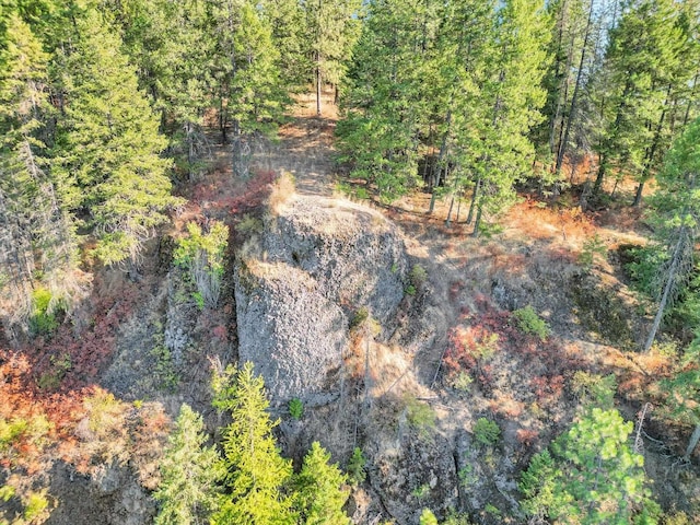 45XX 292nd Hwy, Springdale, WA 99173 - photo 2