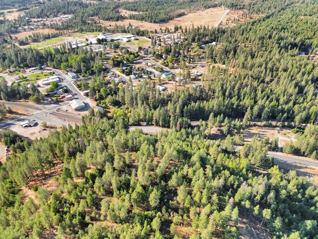 45XX 292nd Hwy, Springdale, WA 99173 - photo 11