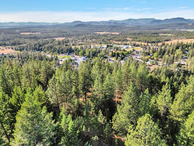 45XX 292nd Hwy, Springdale, WA 99173 - photo 12