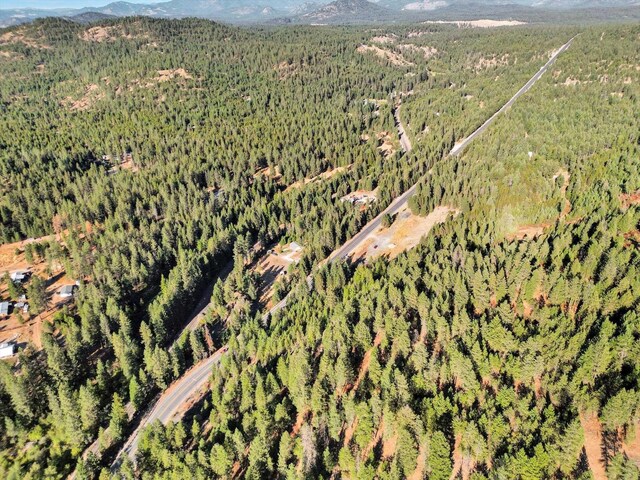 45XX 292nd Hwy, Springdale, WA 99173 - photo 13