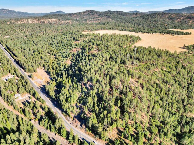 45XX 292nd Hwy, Springdale, WA 99173 - photo 14