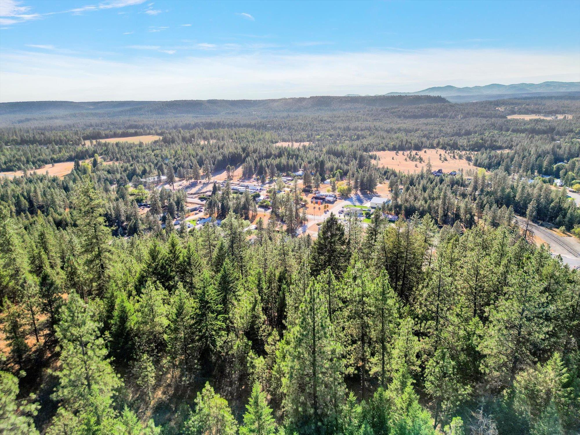 45XX 292nd Hwy, Springdale, WA 99173 - photo 16