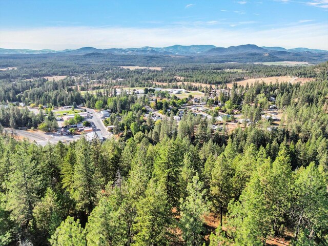 45XX 292nd Hwy, Springdale, WA 99173 - photo 17