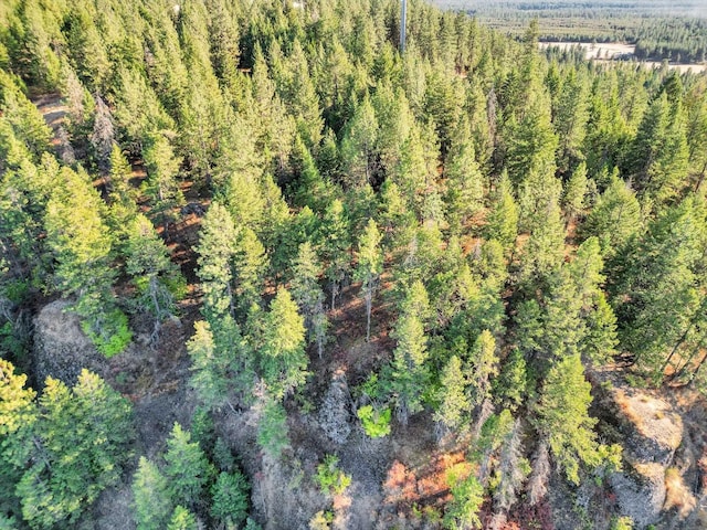 45XX 292nd Hwy, Springdale, WA 99173 - photo 18