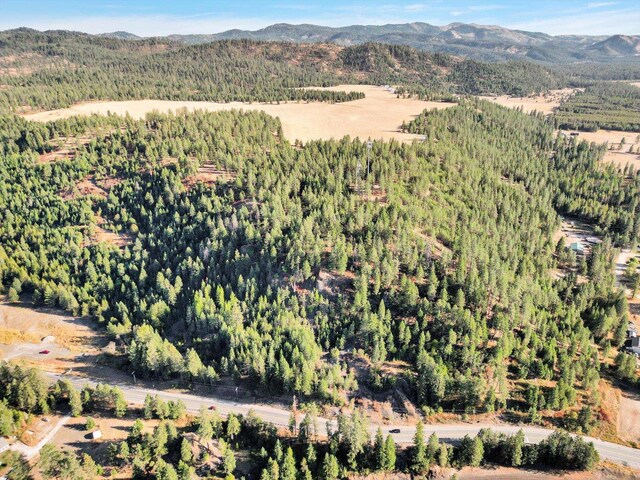 45XX 292nd Hwy, Springdale, WA 99173 - photo 19