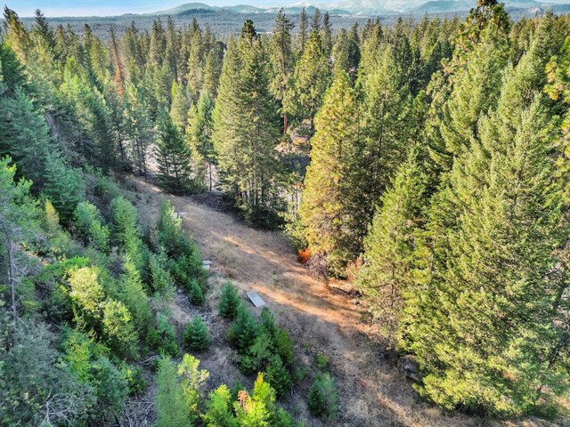 45XX 292nd Hwy, Springdale, WA 99173 - photo 3