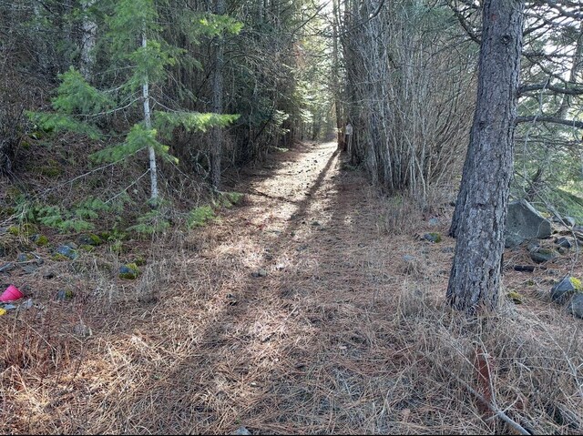 45XX 292nd Hwy, Springdale, WA 99173 - photo 22