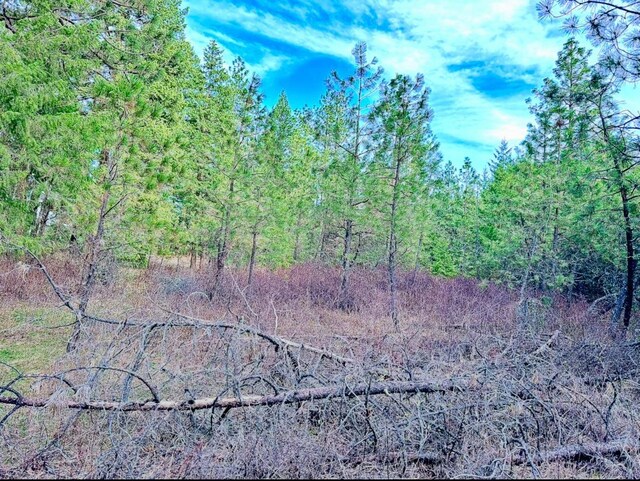 45XX 292nd Hwy, Springdale, WA 99173 - photo 25