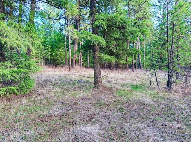 45XX 292nd Hwy, Springdale, WA 99173 - photo 26
