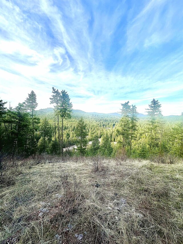 45XX 292nd Hwy, Springdale, WA 99173 - photo 27