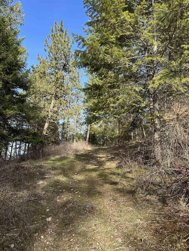 45XX 292nd Hwy, Springdale, WA 99173 - photo 6