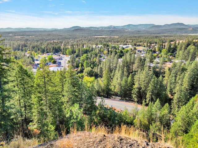 45XX 292nd Hwy, Springdale, WA 99173 - photo 8
