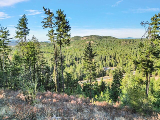 45XX 292nd Hwy, Springdale, WA 99173 - photo 9