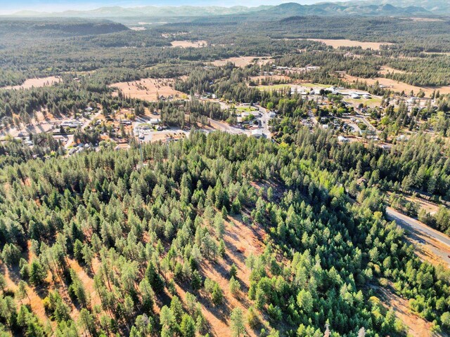 45XX 292nd Hwy, Springdale, WA 99173 - photo 10
