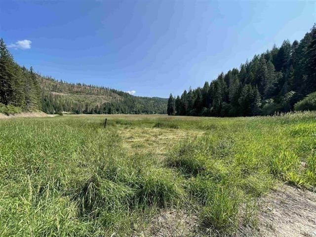 41XX N Deer Lake Rd, Loon Lake WA, 99148 land for sale