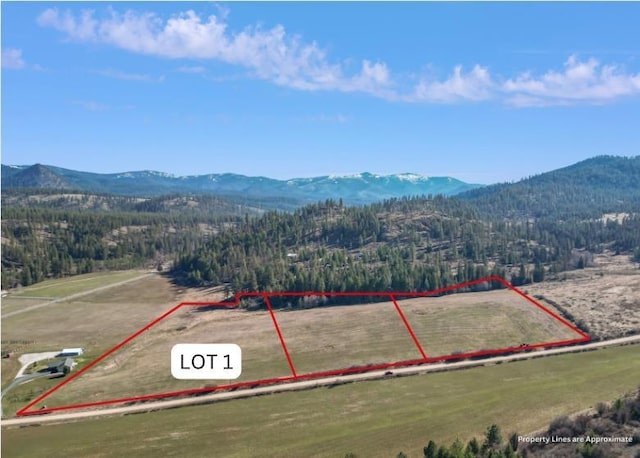 000 Skok Rd Lot 1, Chewelah WA, 99109 land for sale