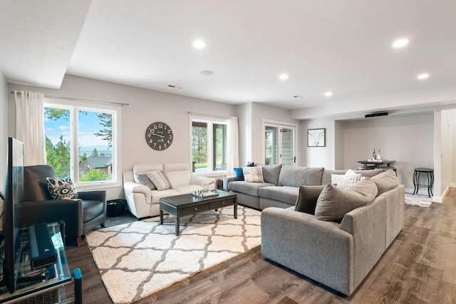 living room with wood-type flooring