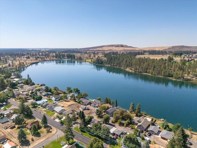 birds eye view of property with a water and mountain view