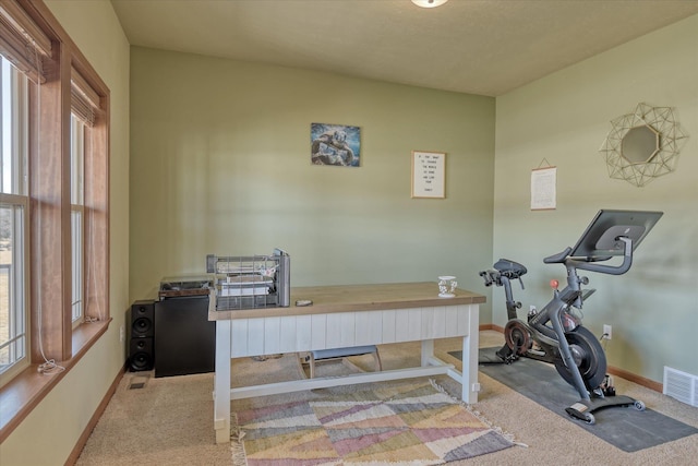 office area featuring plenty of natural light and light colored carpet