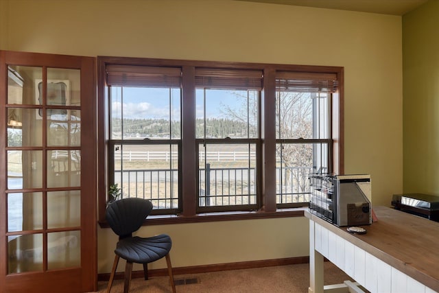 office space featuring light colored carpet and a wealth of natural light