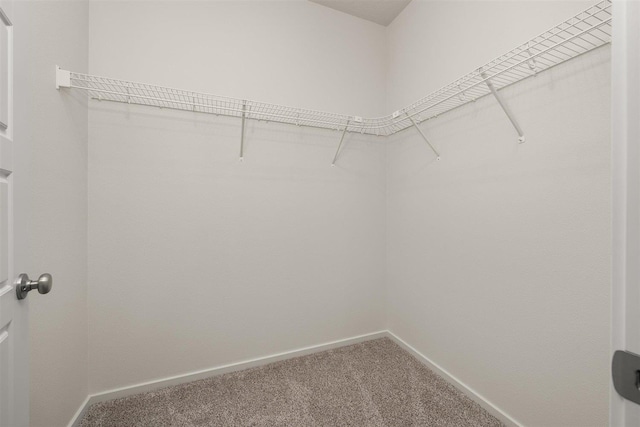 walk in closet featuring carpet flooring