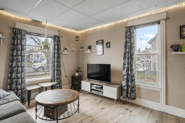 living room featuring a paneled ceiling, light hardwood / wood-style floors, and a wealth of natural light